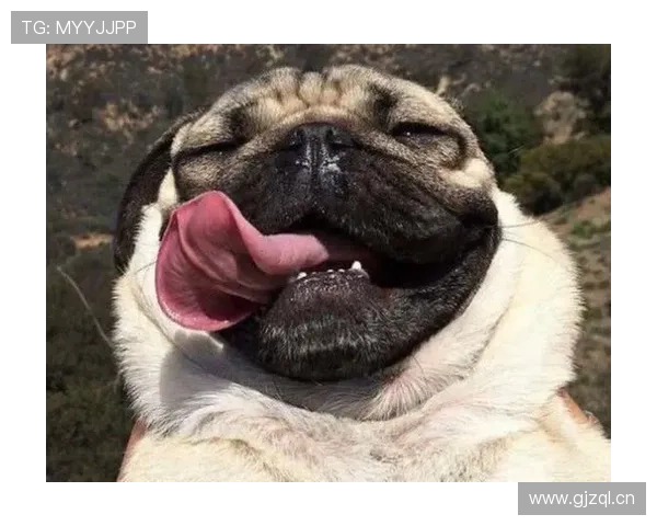 小罗退役后还在夜店蹦迪，豪宅里养着三只斗牛犬和一辆布加迪